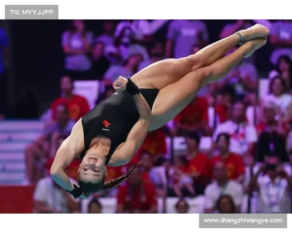 2015年跳水赛事,2015跳水锦标赛