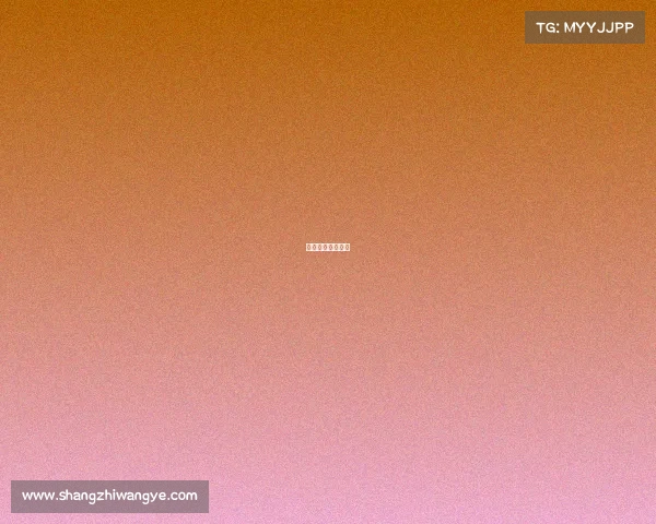 冰球最高水平联赛