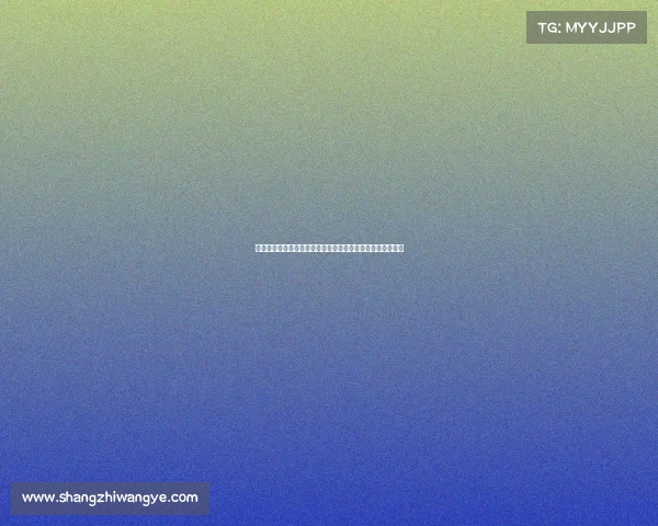 美职篮赛事体系全程结构解析涵盖常规赛季后赛总决赛全流程