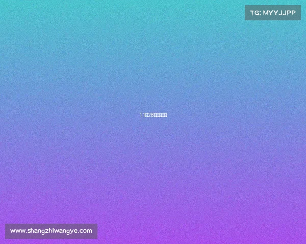 11月28日南京奥体