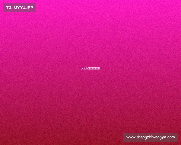 cctv5科比最后一战回放