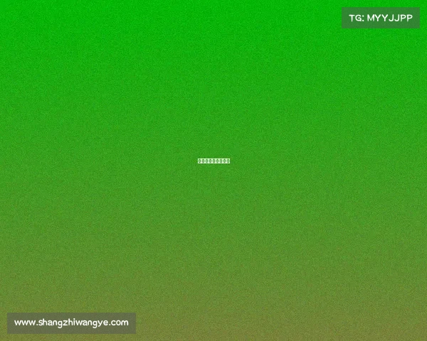 搏击裁判收入怎么样